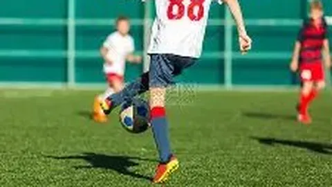 《维尔茨融入团队之旅：共同成长，携手前行》