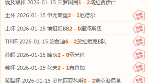 切尔西欲以4000万欧元收购黄潜前锋蒂尔诺·巴里