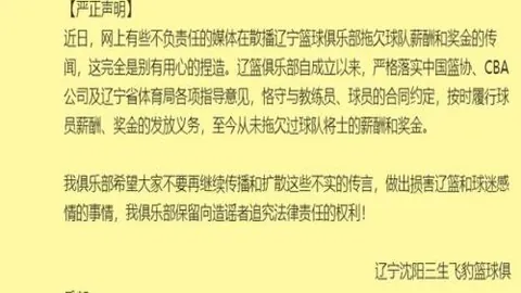 中超风云突变：三镇惊险保级，亚泰意外降级，命运起伏谁之咎？